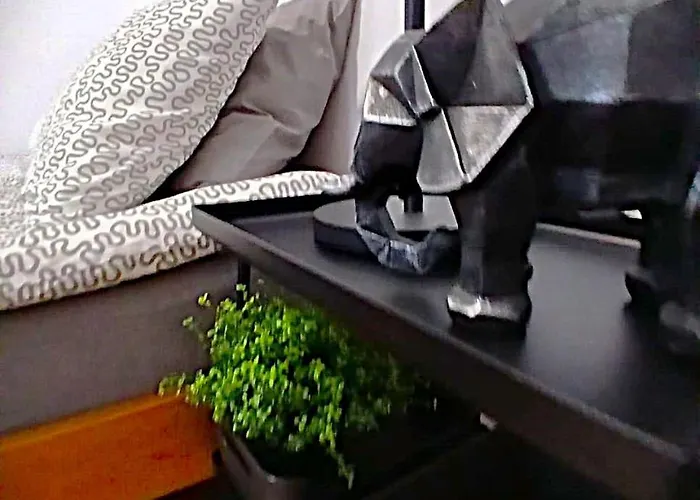 Beachfront * 索波特