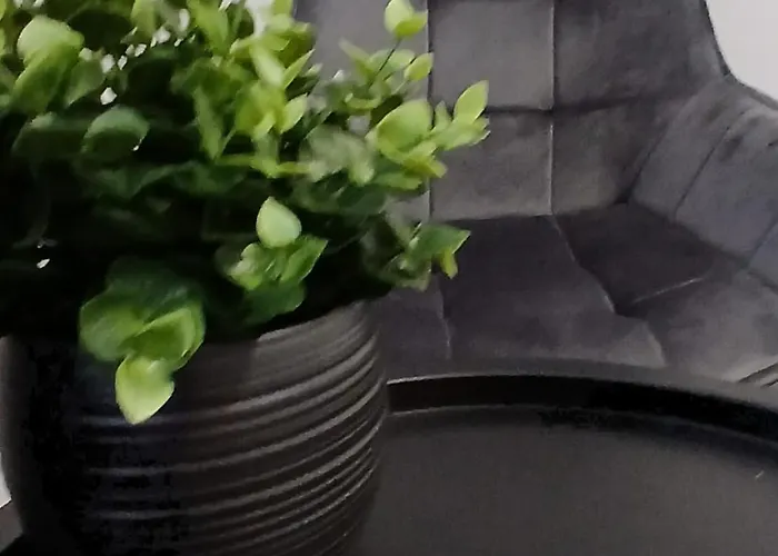 公寓 Beachfront 索波特